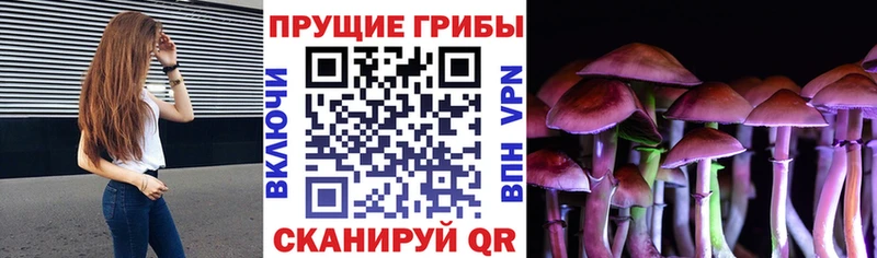 Псилоцибиновые грибы Psilocybe  blacksprut как войти  Жуков 